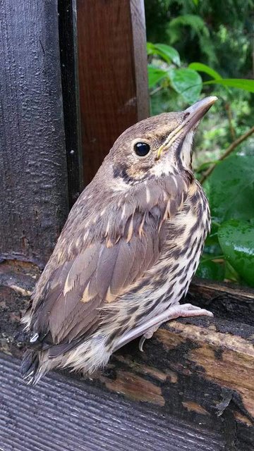 Foto: Uta Weber aus Winsen