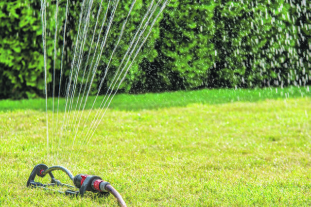 Bis zu 1.000 Liter die Stunde versprüht ein Rasensprenger