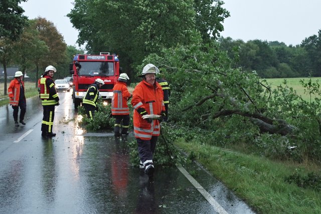 Umgestürzter Baum in Himmelpforten: die Feuerwehr bei Räumarbeiten