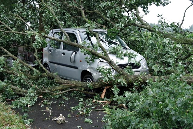 Bei Bossel fuhr ein Opel Agila in einen umgeknickten Baum und blieb im Gestrüpp stecken | Foto: Feuerwehr/Hillyer-Funke
