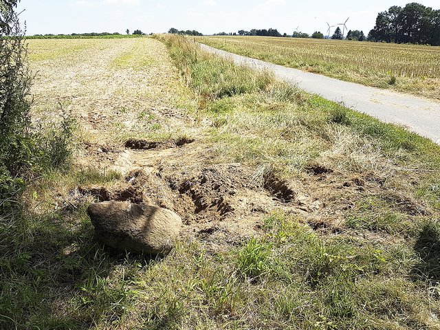 Der Stein lag am Quellenweg zwischen Sieversen und Sottorf