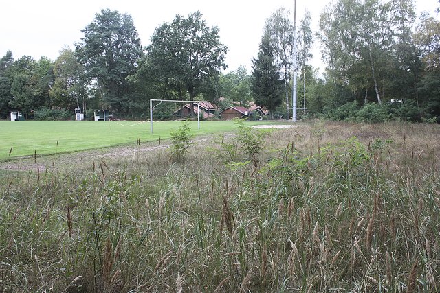 Der TSV Sprötze will einen alten Bolzplatz an
seinem Rasenplatz reaktivieren