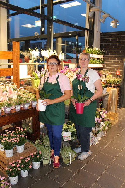 Frische Blumen im Fachgeschäft "Frollein Eden" | Foto: Burfeindt