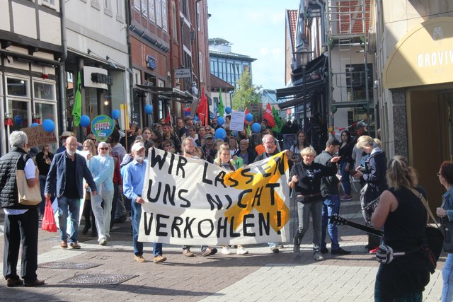 An der Demo nahmen Umweltaktivisten und viele Stader Bürger teil | Foto: Lena Stehr