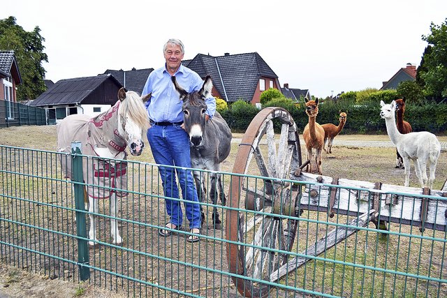 Ein Herz für Tiere: Peter Johannsen mit Pony, Esel und vier 
Alpakas, die nicht nur die Bewohner des Herbergsvereins erfreuen