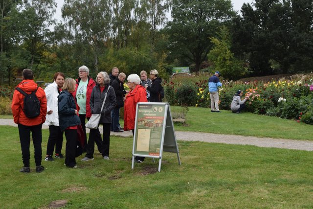 Impressionen: Dahlienfest mit Jazz im Park