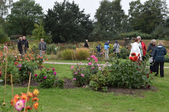 Impressionen: Dahlienfest mit Jazz im Park