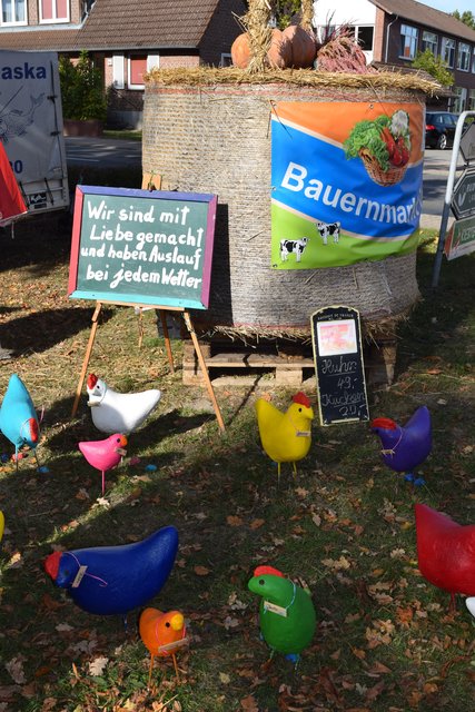 Impressionen: Bauernmarkt in Marschacht