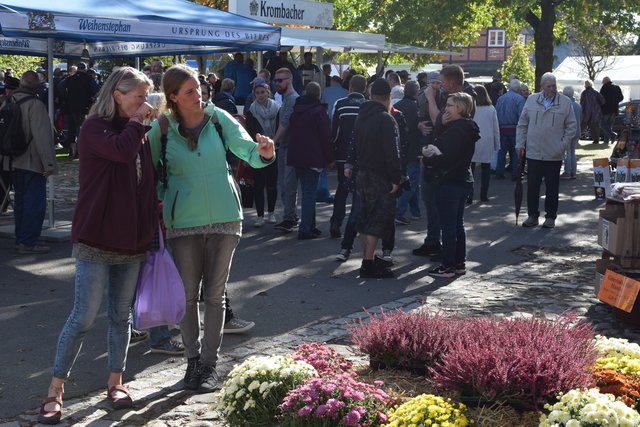 Impressionen: Bauernmarkt in Marschacht