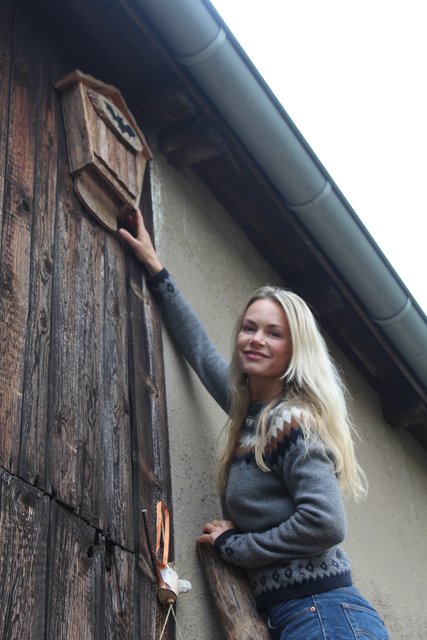 "Mit dem Anbringen von Fledermauskästen kann man die Tiere ganz leicht unterstützen", sagt Fledermausbotschafterin Chrissie Kokartis