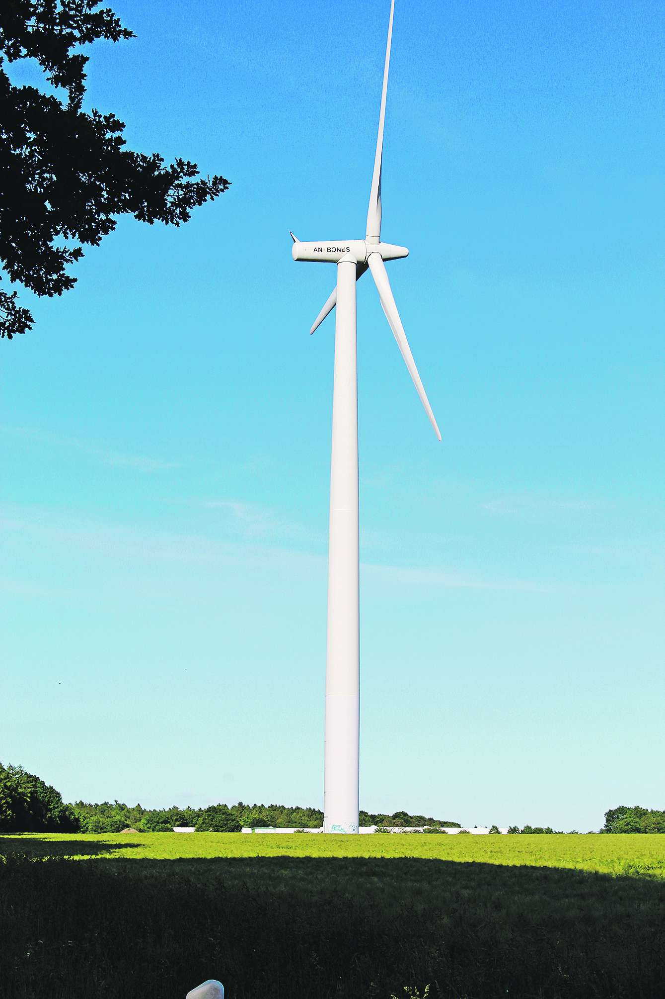 Zukunft der Energieerzeugung und Vogel-Killer: Auch Windstrom hat eine dunkele Seite. Hier eine Anlage bei Wennerstorf