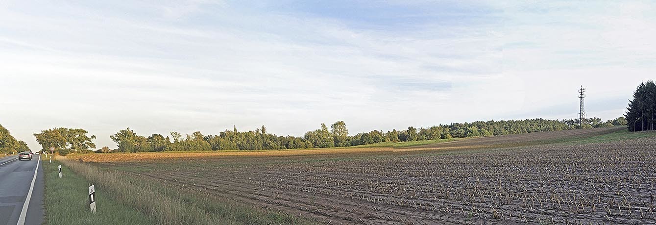 Auf dieser Fläche soll das Aldi-Lager gebaut werden