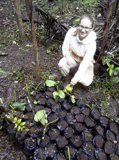 In speziellen Behältern wurden 
die Pflanzen gezogen | Foto: Sina Bertram