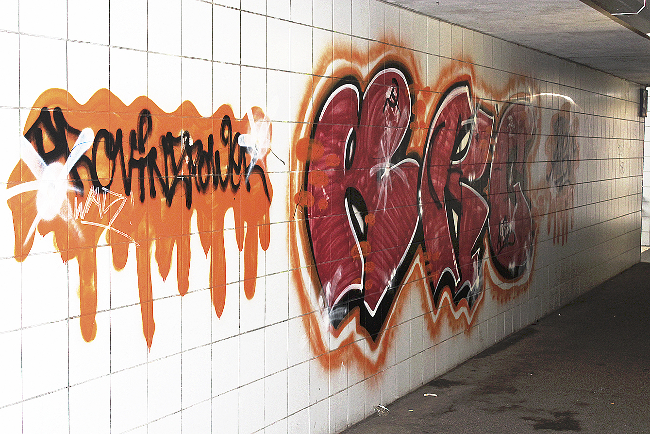 Obwohl vertraglich dazu verpflichtet, fühlt sich die Bahn nicht zuständig für die Beseitigung der Graffiti Fotos: thl/CDU Winsen