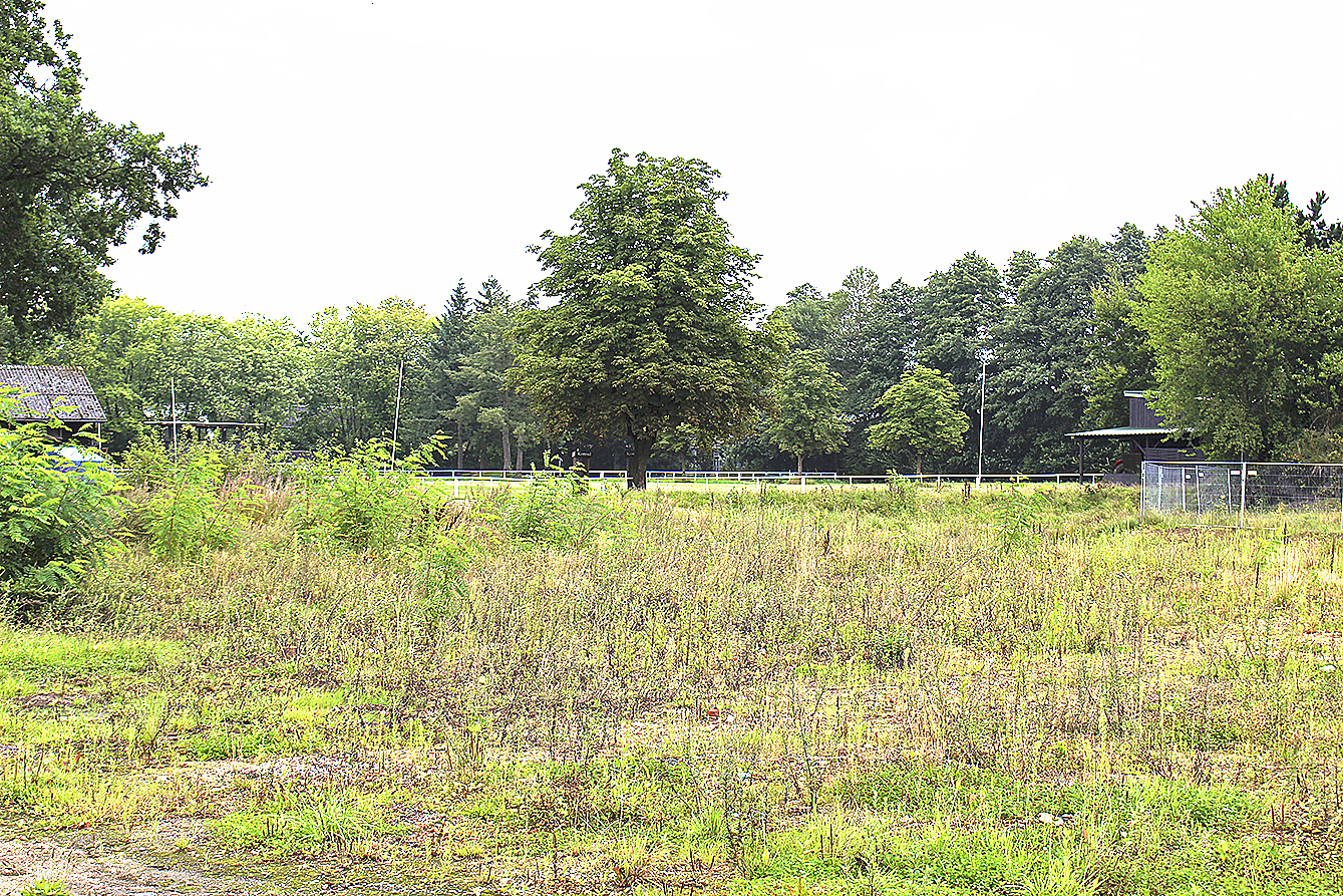 Auf dem Areal des Reitvereins Nordheide wollte ein Investor nachhaltiges, emissionsarmes Wohnen und Fahren der Zukunft entwickeln. Allerdings gab es dafür keine Mehrheit Fotos: mum
