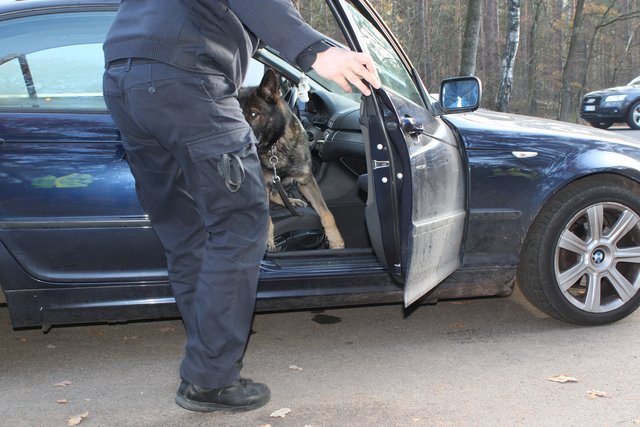 Auch im Wageninneren suchte der Hund