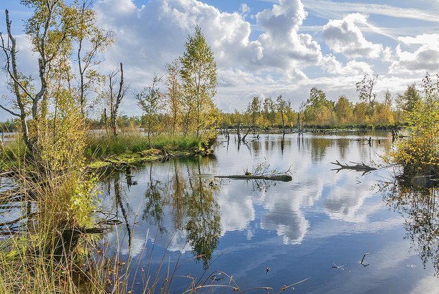 In vielen Bereichen wieder intakt: das Hohe Moor bei Oldendorf Fotos: tp/Christian Schmidt