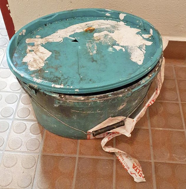 In diesen Farbeimer wurde die kranke Katze gesteckt