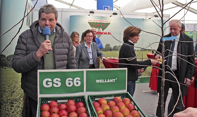 Hinrich Armhold von der Obstbaumschule Armhold mit den neuen Apfelsorten