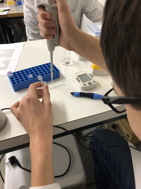 Foto: Geestlandschule