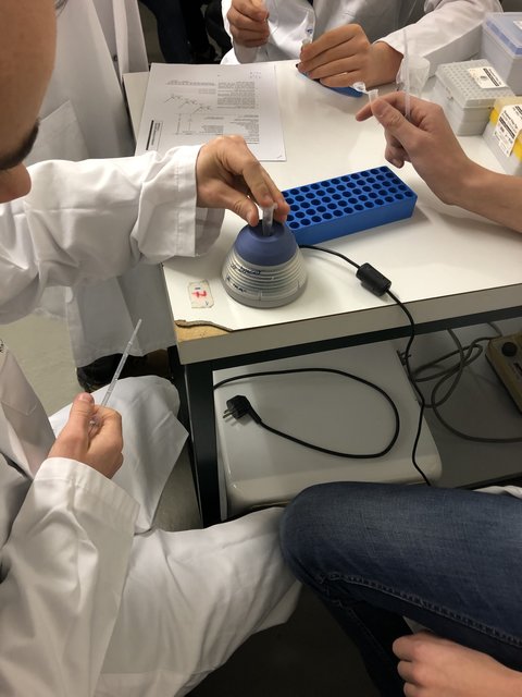 Foto: Geestlandschule