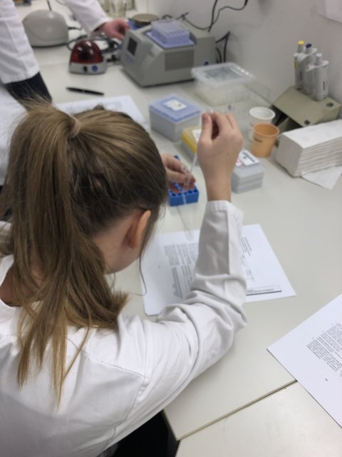 Foto: Geestlandschule