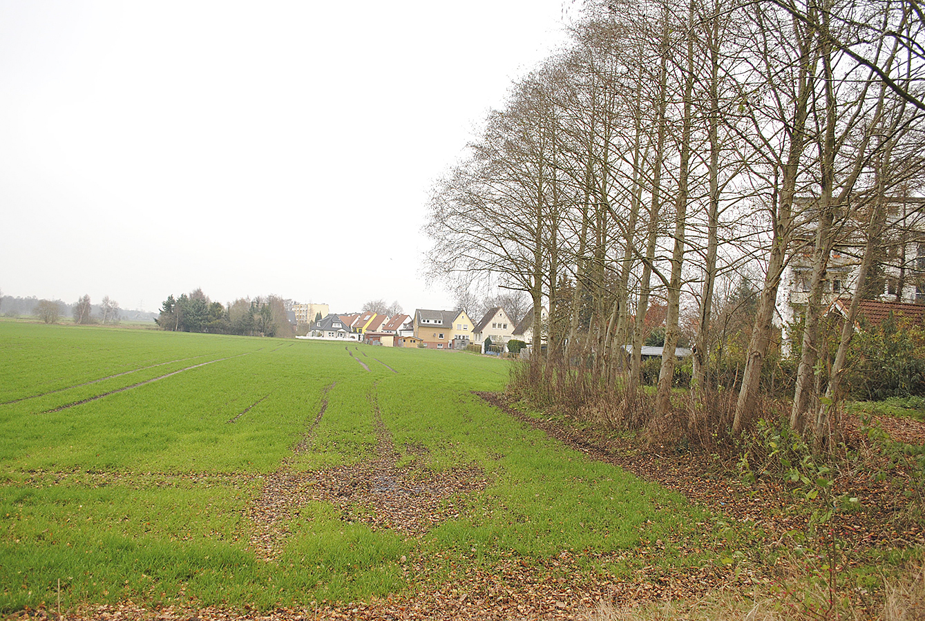 Hier rollen ab Juli die Bagger: Dann beginnt die Erschließung des Wohngebietes Giselbertstraße Foto: tk