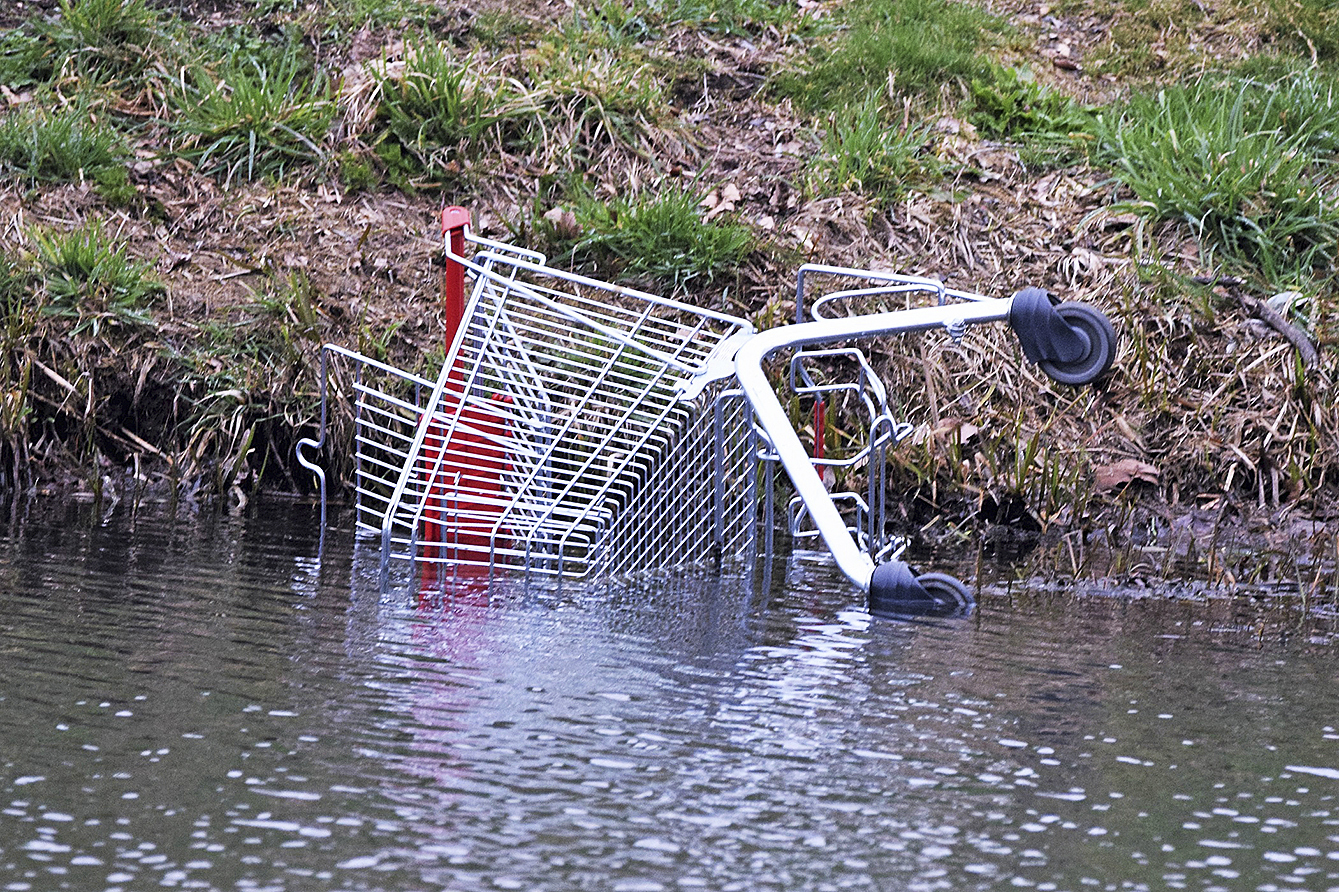 Einkaufswagen, die im Wasser landen: Da fragt man sich, was der Unfug soll Foto: Reinhard Paulin