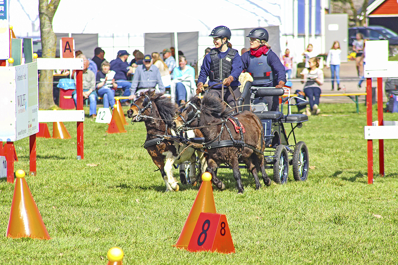Geschicklichkeit und Schnelligkeit sind im Hindernis-Parcours gefordert Foto: Melanie Serbian
