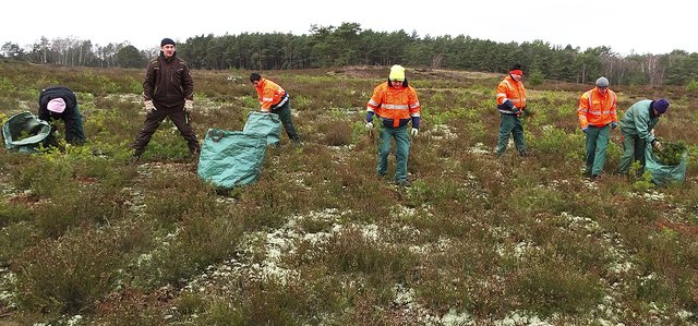 Mitarbeiter der Lebenshilfe entkusseln mit großer Einsatzfreude die Wulmstorfer Heide (v. li.):
Joanne Hoffmann, Roland Weinstock, Florian Dieckmann, Diethelm Meyer,
Matthias Kybart, Veit Winkler und Frank Caliebe Fotos: Naturschutzstiftung