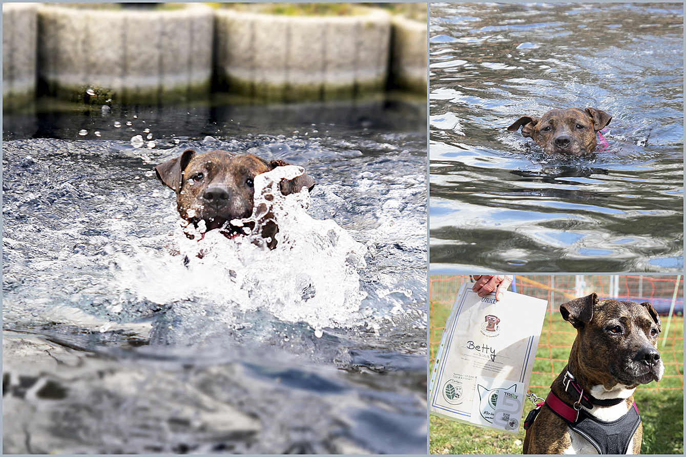 Zur Saisoneröffnung legte Betty ihr Seepferdchen
im Schwimmteich ab