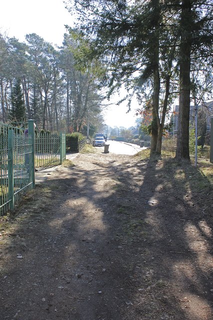 In der Ferne zu sehen: Der Kiefernweg ist eigentlich asphaltiert