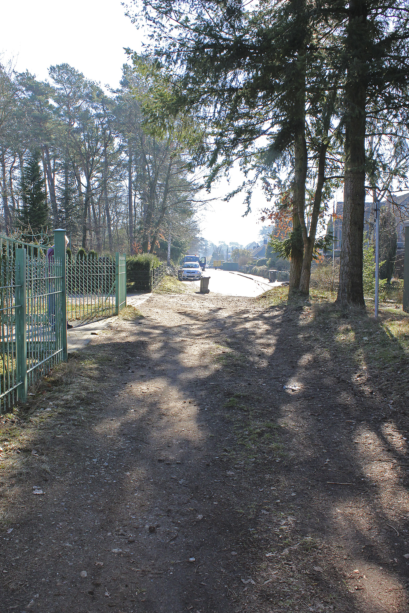 In der Ferne zu sehen: Der Kiefernweg ist eigentlich asphaltiert