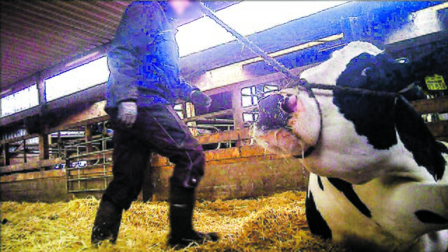 Blanke Panik im Blick Fotos: Soko Tierschutz | Foto: Soko Tierschutz