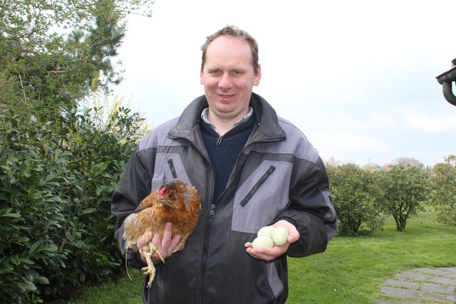 Marco Rother, stv. Vorsitzender des Nutzgeflügelzuchtvereins Klecken, mit dem Araucana, das hellgrüne Eier legt