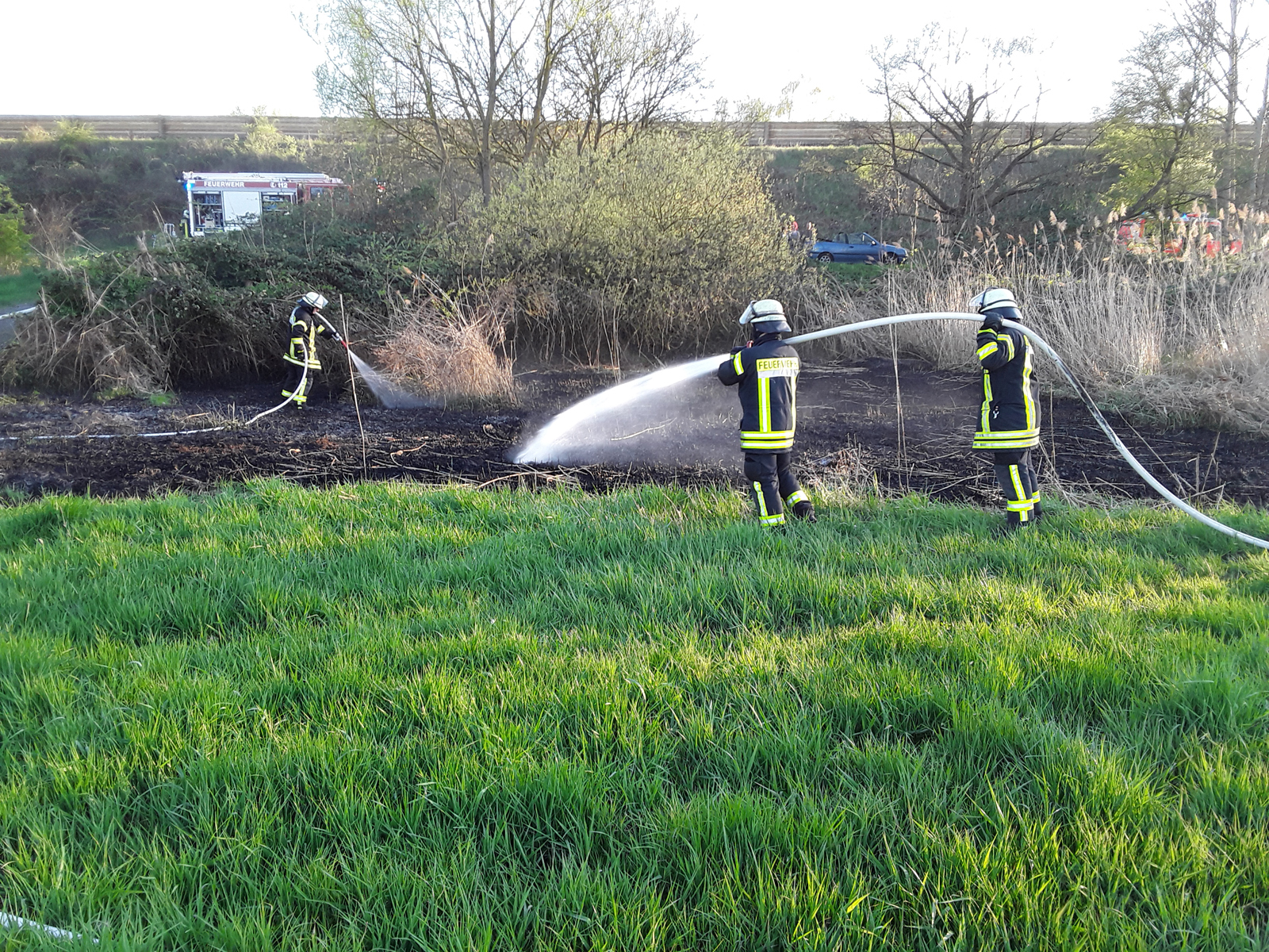In Stelle brannten rund 500 Quadratmeter Gras und Busch an der Straße „Hinter der Bahn“, die Feuerwehr Stelle löschte