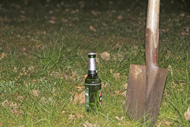 Auf Grabeland soll gebuddelt und nicht gefeiert werden - das sagt das Gesetz Foto: tk