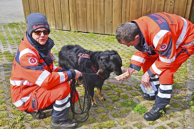 Jarik bekommt nach seiner erfolgreichen Lokalisierung der
vermissten Person Futter als Belohnung   | Foto: sc