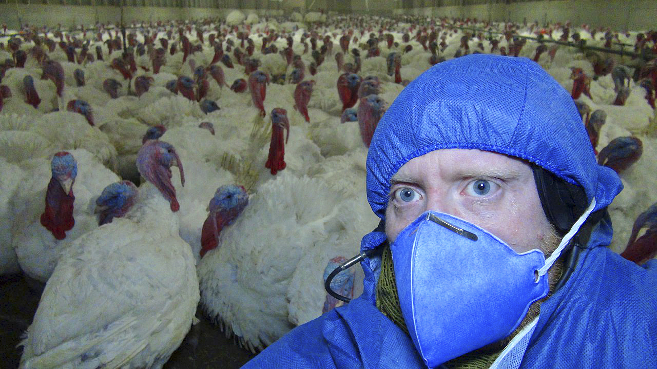 Friedrich Mülln bei einer vorangegangenen Aktion Fotos: Soko Tierschutz