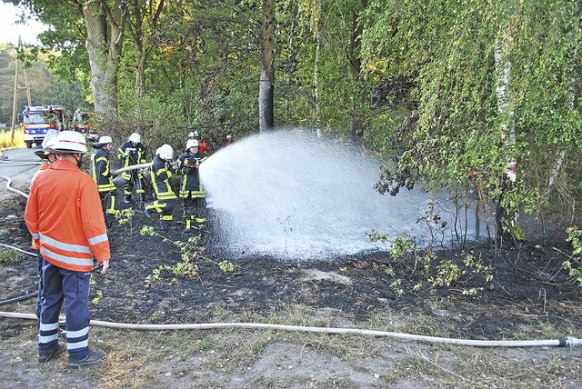 Feuerwehrleute beim Löschen eines Waldbrands in Salzhausen im vergangenen Jahr