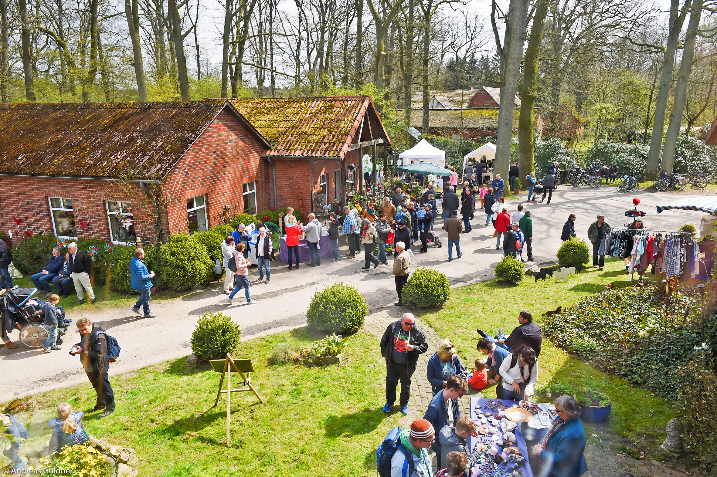 Zum Spargelfest wird der Cassenshof ein Publikumsmagnet in der Region