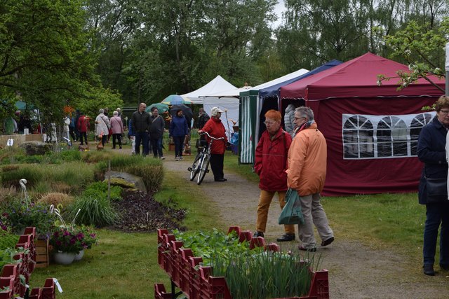 Impressionen: 13. Tulpenfest Winsen 