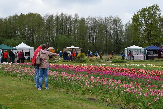 Impressionen: 13. Tulpenfest Winsen 