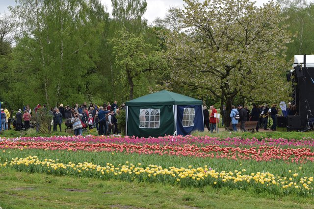 Impressionen: 13. Tulpenfest Winsen 