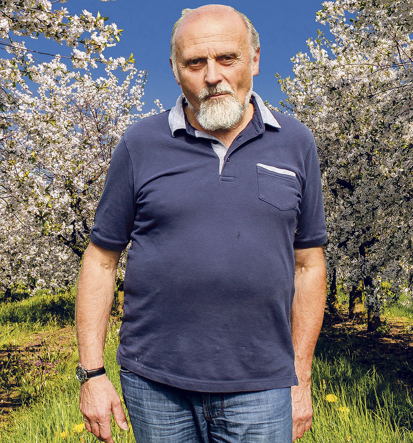Bestätigt den Wassermangel zur Beregnung: der Jorker Obstbauer und FDP-Lokalpolitiker Peter Rolker
