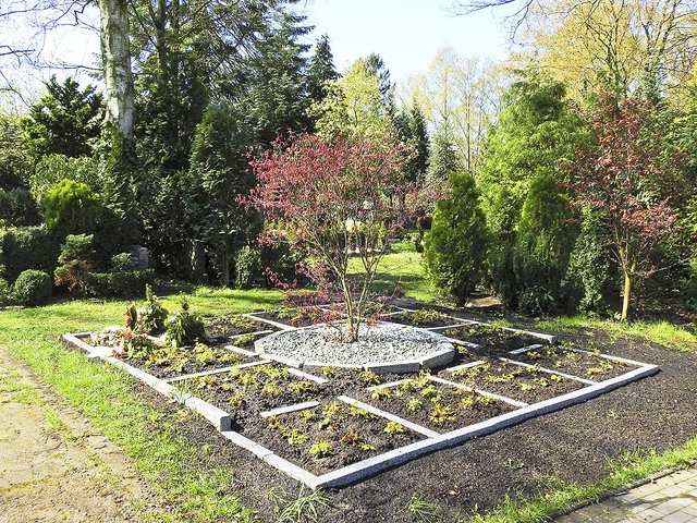 Auf dem Friedhof gibt es nun auch einen Themengarten "Ahornbaum"