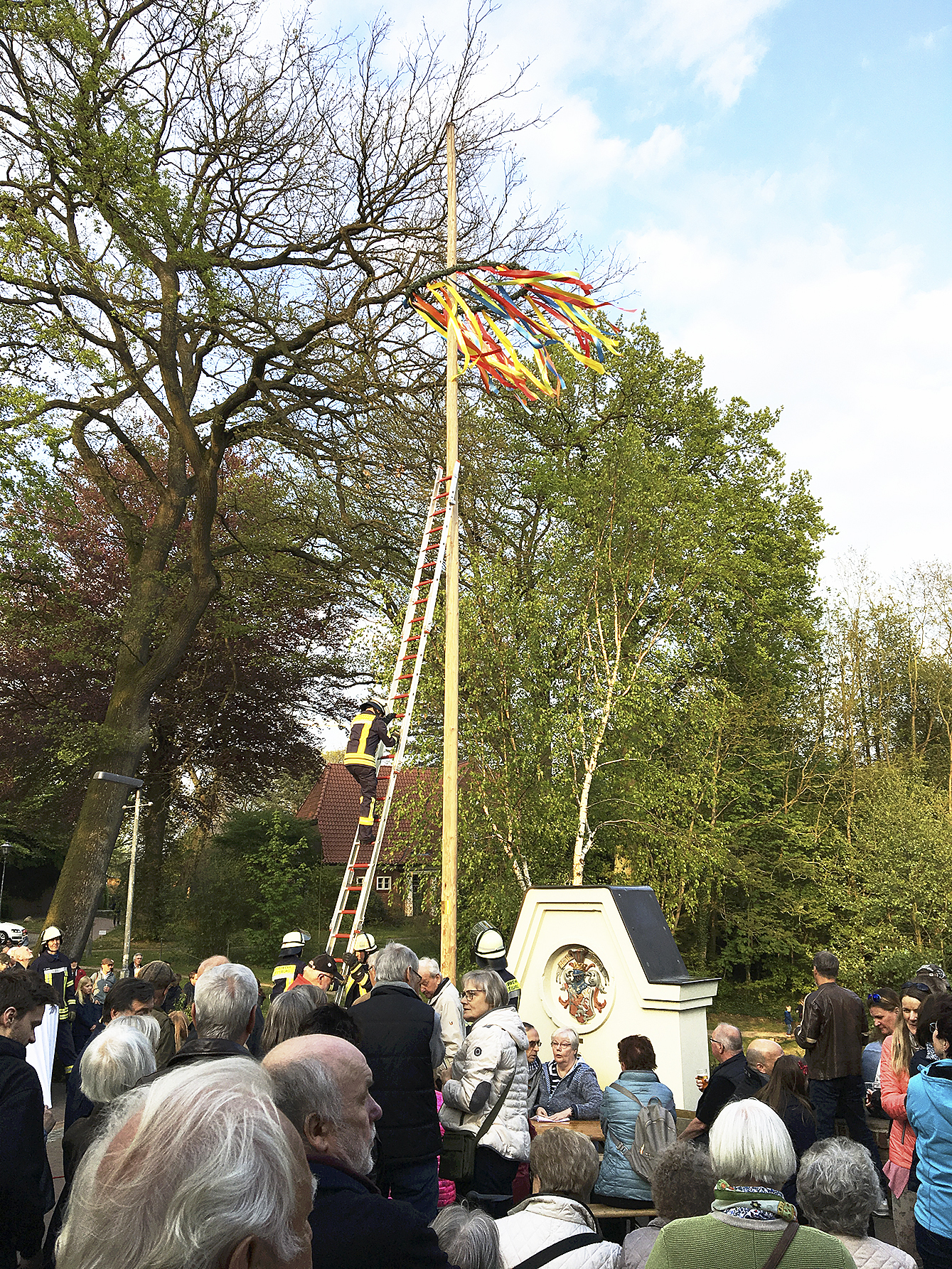 Mitglieder der Freiwilligen Feuerwehr Jesteburg richteten den Maibaum auf dem Spethmann-Platz auf