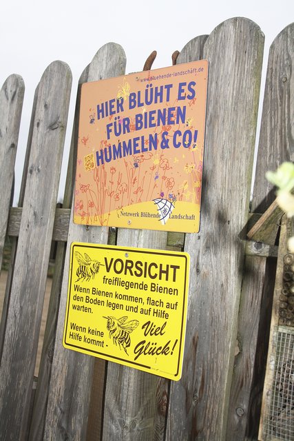 Hier wird klar, dass es sich um einen Bienenfreund handelt