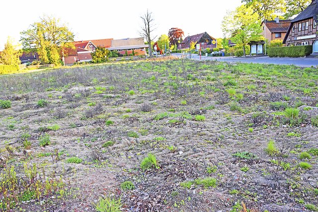 Auf dem heute freien Grundstück an der Ecke Schulstraße/Alte Straße plant der Investor Steffen Lücking vier Gebäude | Foto: ts