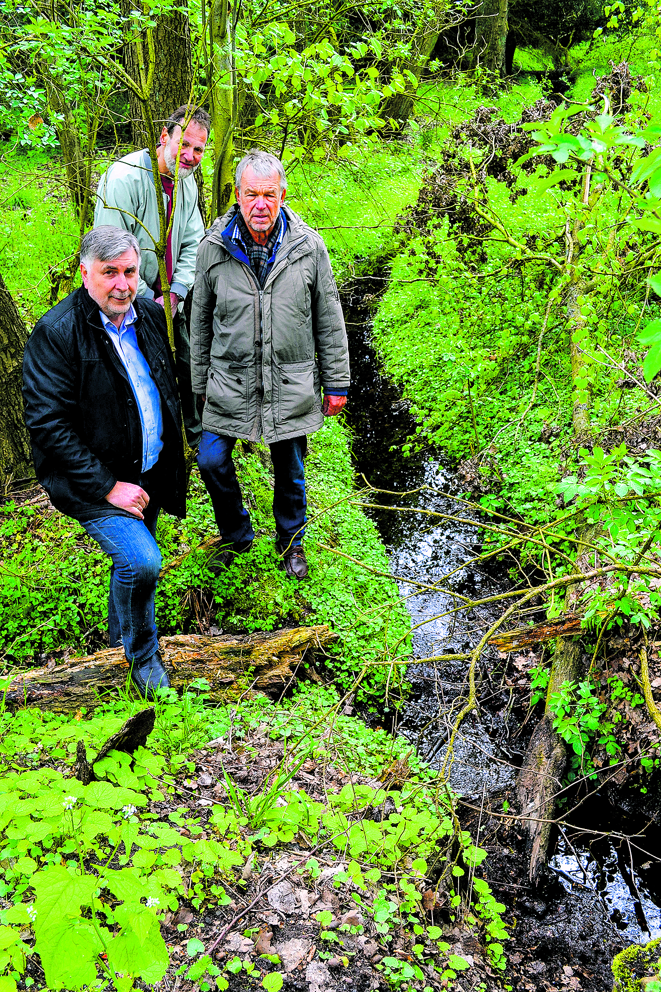 Der IGN-Vorstand Gerhard Schierhorn (v.li.): Ulrich Bernstorff und Karl-Hermann Ott am Nordbach, einem fast versiegten Zufluss der Schmalen Aue